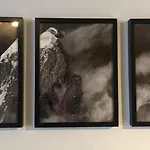 Base Camp Vue Mont Blanc Centre Шамоні
