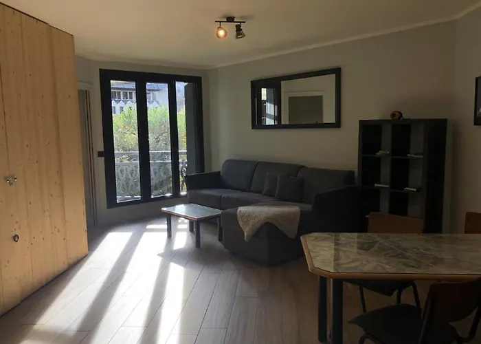 Appartement Base Camp Vue Mont Blanc Centre Chamonix